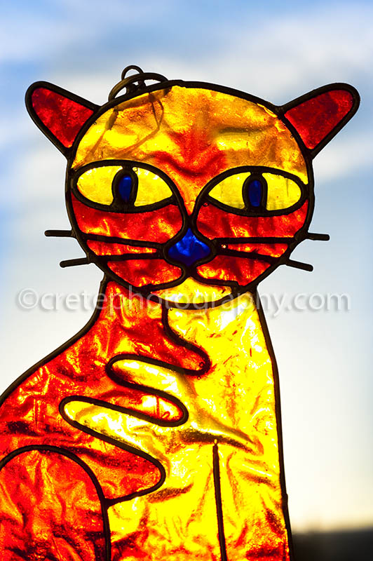 Stained cat