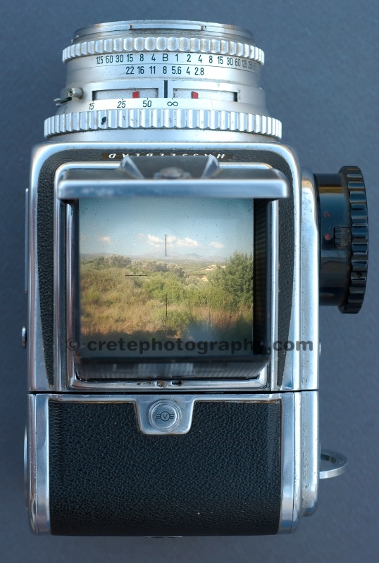 Hasselblad 500C top down veiw finder picture