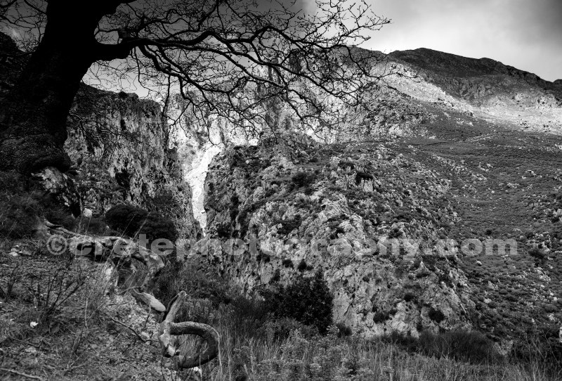 Kotsifoy gorge black and white